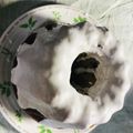 クックMVXCM0☆'s cooksnap of when they made レモン-サワークリームパウンドケーキ.