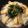 ベティ３'s cooksnap of when they made 味噌ごま大葉の＊あつあつ＊にゅうめん.