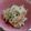 まゆみきママ's cooksnap of when they made かにかまと切干大根のマヨサラダ.