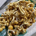 eir☆432V0P's cooksnap of when they made 株なめこ　石づきの切り方(落とし方).