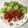 puniＫ's cooksnap of when they made チキンソテー✩甘旨トマトソースがけ♪.