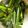 クックS7VBBC☆'s cooksnap of when they made ニラ豆板醤.