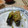 まりゆりひろこ's cooksnap of when they made さばのねぎ塩レモンだれ.