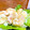 ＊あんずあん＊'s cooksnap of when they made ヨーグルトエビマヨ.