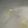 あゆたっくん's cooksnap of when they made キャベツの✿ミルクみそ汁.