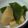 ジビエ大好き☆'s cooksnap of when they made タケノコと茎わかめの煮もの.
