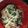 クックUL8OCM☆'s cooksnap of when they made もやしとほうれん草と卵のごまマヨサラダ.