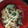 クックUL8OCM☆'s cooksnap of when they made もやしとほうれん草と卵のごまマヨサラダ.