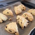 コロねこ's cooksnap of when they made 究極のスコーン.