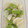 tamago大好き's cooksnap of when they made 簡単★山芋といんげんの白だし煮.