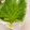 153m242's cooksnap of when they made 大葉の保存♪長持ちするヨ！.