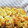 クックPZ2WKQ☆'s cooksnap of when they made 簡単！クルクルさつまいもパイ.