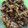 askun05's cooksnap of when they made 簡単!生姜と椎茸の佃煮（冷凍保存OK）.