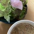 petokko's cooksnap of when they made 簡単！サニーレタス専用中華ドレッシング.