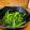 ＊あんずあん＊'s cooksnap of when they made ＊三つ葉の煮びたし＊.