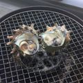 居酒屋まるみ's cooksnap of when they made 山陰の夏の味覚●BBQ●サザエの壺焼き.