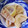ムーミン☆ママ's cooksnap of when they made たけのこの煮物.