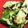 ブランシュkuu's cooksnap of when they made 簡単♪止まらない！たたききゅうり.