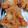 ピコたんママ's cooksnap of when they made 再現度高！KFC風フライドチキン.