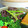 M130018's cooksnap of when they made 超簡単！牛肉とにんにくの芽の甘辛炒め！.
