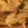 クックTHM5YF☆'s cooksnap of when they made えのきだけの焼肉のタレカレー粉焼き.
