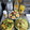 ebipeco's cooksnap of when they made 鮭フレークで✽ゆかり風味の簡単ちらし寿司.