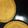♪syu☆syu♪'s cooksnap of when they made 簡単！さくさくおいしいバタークッキー.