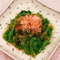 Aloha☆★'s cooksnap of when they made こごみのお浸し.