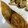 ヘルシーみちこ's cooksnap of when they made しっとり美味しいさわらの照り焼き.