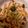 クックESIFQ7☆'s cooksnap of when they made ◆醤油味の焼きうどん◆.