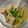 maki_n's cooksnap of when they made ふきと高野豆腐の煮物.