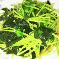 ちゃちゅ2's cooksnap of when they made 豆苗とわかめのナムル.