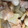 ayumi7171's cooksnap of when they made 大根と鶏モモの煮物.