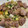クック茶々茶's cooksnap of when they made 簡単☆豚肉とセロリのハーブバター炒め.