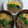 つむつむ母's cooksnap of when they made しっとりそぼろのお手軽♪三色丼.