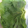 あかぷり's cooksnap of when they made 蕗の葉の塩漬けのおにぎり.