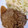 ユカtoマオマオ's cooksnap of when they made 簡単、豚のしょうが焼き。.