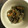 ぽちっどら's cooksnap of when they made すき焼きのタレで簡単牛ごぼう.