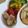 HIRO5E☆'s cooksnap of when they made 幼児食★チキンの味噌焼き.
