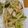 ぶたぶた☆こぶた's cooksnap of when they made 小松菜モヤシナムル.