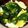 及川真愛弥's cooksnap of when they made 筍のお吸い物☆.