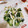＊＊めろん＊＊'s cooksnap of when they made しらすときゅうりとわかめの酢の物.