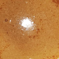 あんずぽんず's cooksnap of when they made 【農家のレシピ】しゃぶしゃぶ用☆ゴマだれ.