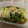 ♡奈津亜♡'s cooksnap of when they made 小松菜とえのきのとろとろ煮.