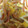 あかぷり's cooksnap of when they made 止まらない♪*ﾟつくしの卵とじ！.
