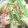 ２４なるるん's cooksnap of when they made お弁当に♪簡単絹さやとハムのマヨ炒め☆.