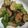 クック6DDPP8☆'s cooksnap of when they made 簡単☆なす＆ピーマンのみそ炒め.