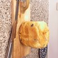 リリー70's cooksnap of when they made ＨＢノンオイルのオリーブ食パン.