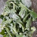 ぽんぽこ♩'s cooksnap of when they made アイスプラントを活かす最高〜っの食べ方.