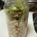 あけいんこ's cooksnap of when they made 松葉と大豆だけで手作り松葉納豆.